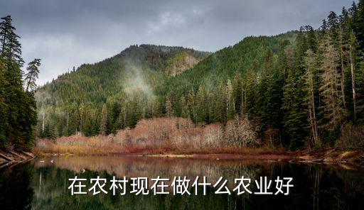 今年农业怎么做，面对金融危机今年农业该如何发展