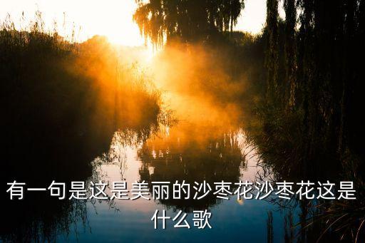 有一句是这是美丽的沙枣花沙枣花这是什么歌