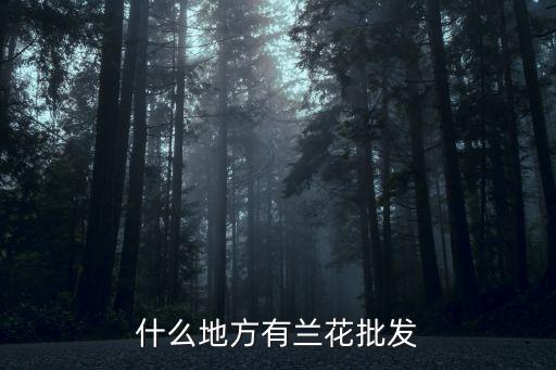 什么地方有兰花批发