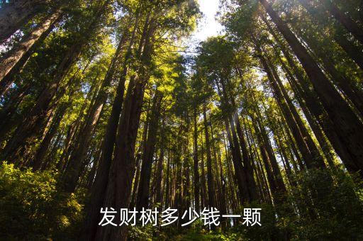 发财树多少钱一颗