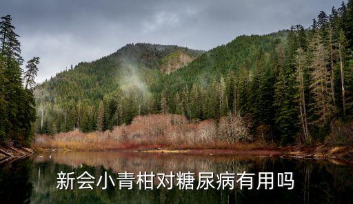 新会小青柑对糖尿病有用吗