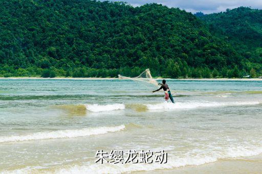 朱缨龙蛇动