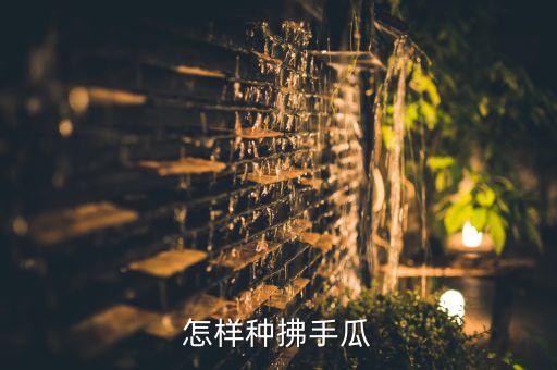 怎样种拂手瓜