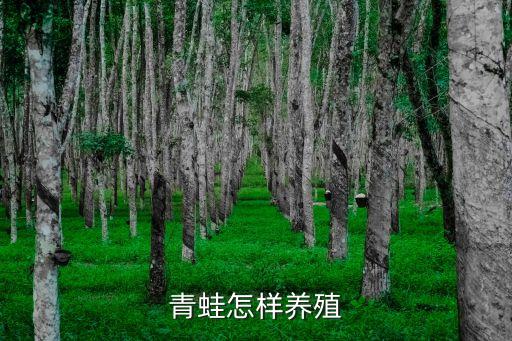 养殖青蛙，怎样饲养青蛙