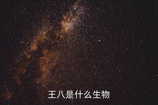 王八是什么生物
