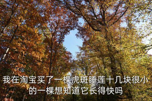 虎斑睡莲，我在淘宝买了一棵虎斑睡莲十几块很小的一棵想知道它长得快吗