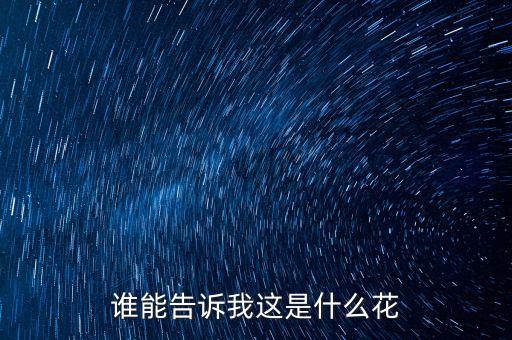 蜀葵花，蜀葵花的花程式