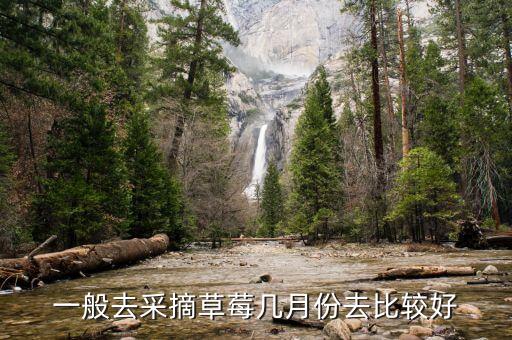 草莓采摘，昆明哪里摘草莓