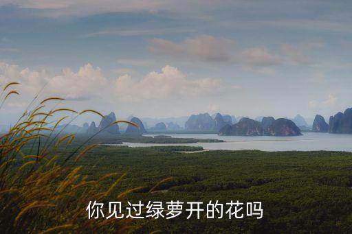 绿萝开花，绿萝开花吗