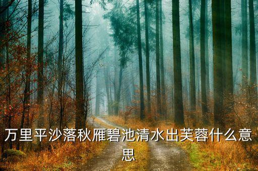 万里平沙落秋雁碧池清水出芙蓉什么意思