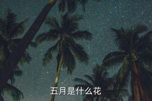 五月是什么花，五月是什么花