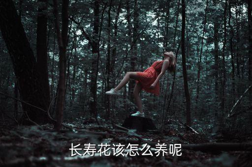 长寿花好养吗，长寿花好养么花期有多长