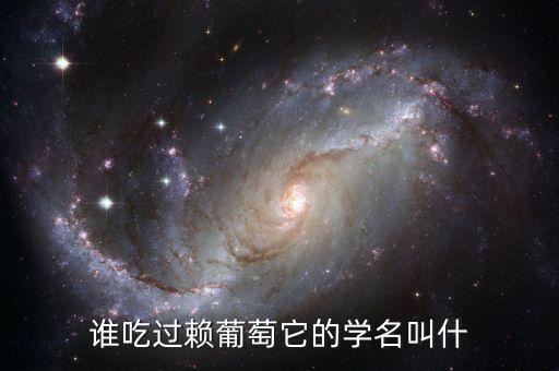 癞葡萄，谁吃过赖葡萄它的学名叫什