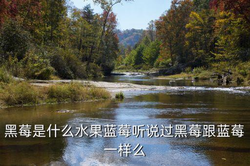 黑莓是什么水果，什么是黑莓