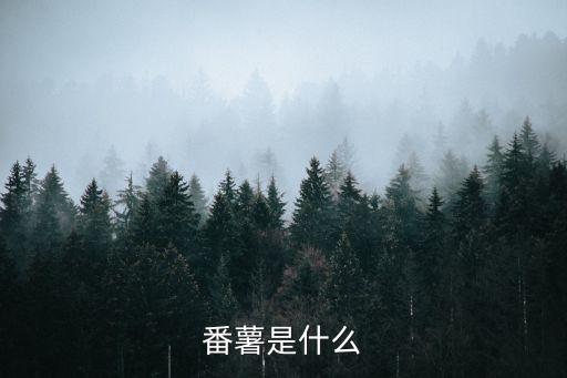 番薯是什么