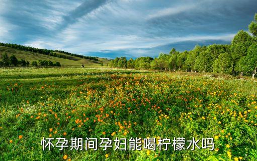 怀孕期间孕妇能喝柠檬水吗