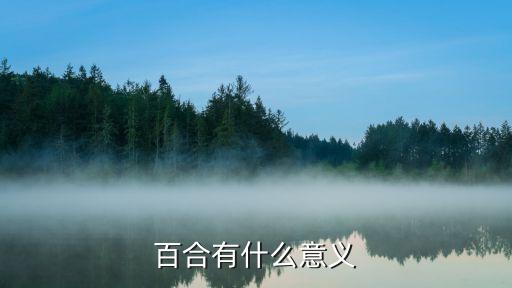 百合有什么意义