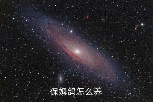 保姆鸽怎么养