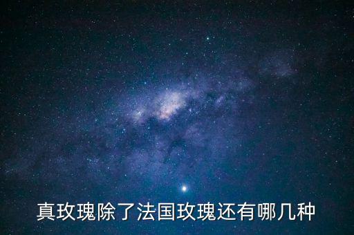 真玫瑰除了法国玫瑰还有哪几种