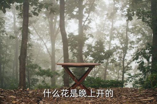 夜开花，夜晚开的花有哪些
