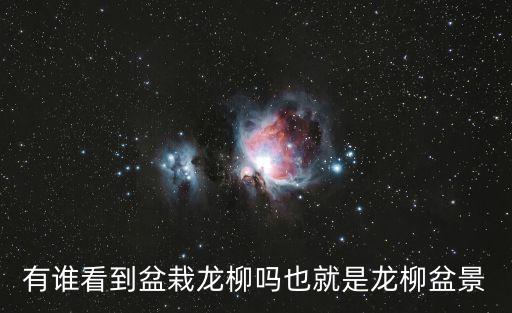 龙须柳，龙须柳和旱柳