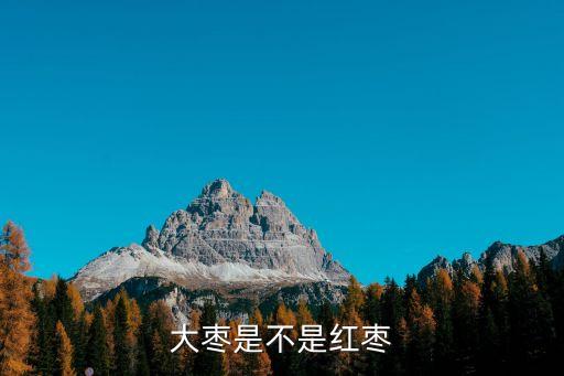大枣是不是红枣，大枣是红枣吗