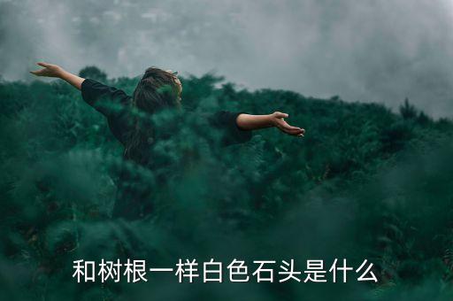 白色石子，和树根一样白色石头是什么