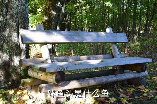 鲽鱼头，碟鱼头是什么鱼