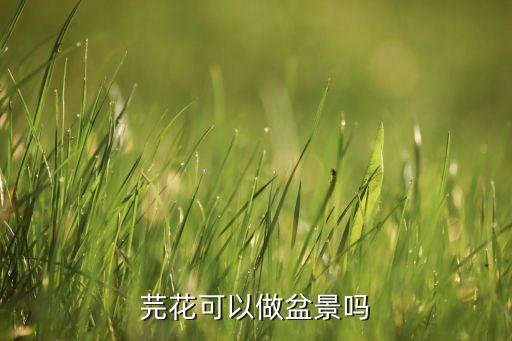芫花，芫花可以做盆景吗
