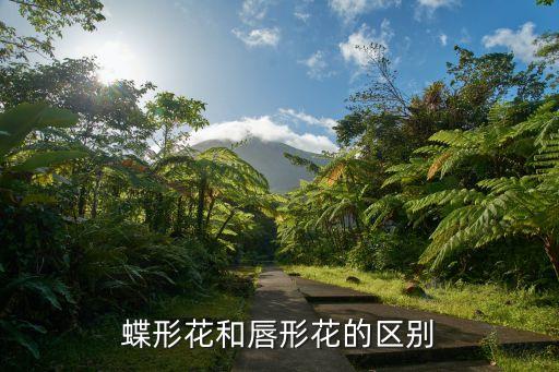 蝶花，武魂 蝶花学什么生活技能好