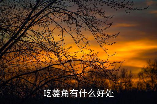 吃菱角有什么好处