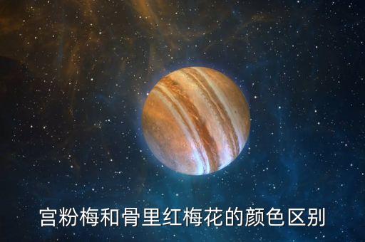 宫粉梅，大宫粉梅的介绍