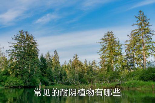 耐阴花卉，比较耐阴的花卉有哪些