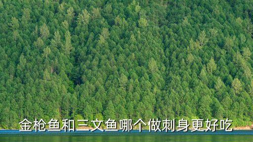 金枪鱼和三文鱼哪个做刺身更好吃