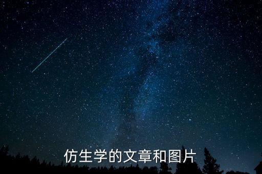 火头鱼图片，仿生学的文章和图片