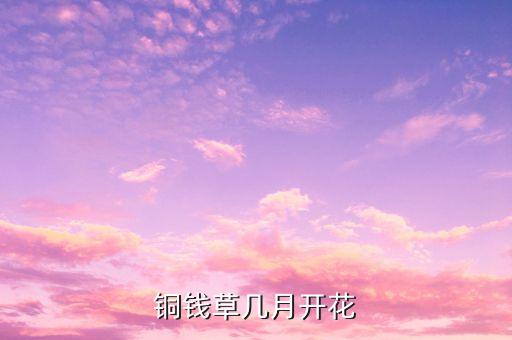 铜钱草会开花吗，铜钱草会开花吗