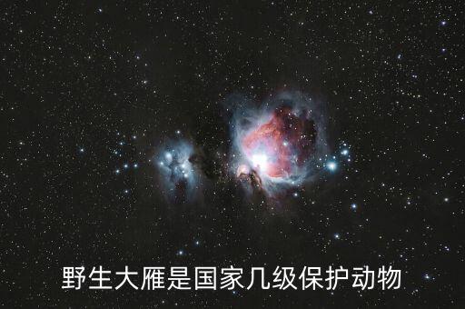 野生大雁是国家几级保护动物