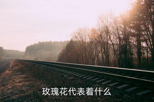 玫瑰花象征着什么，玫瑰花代表什么