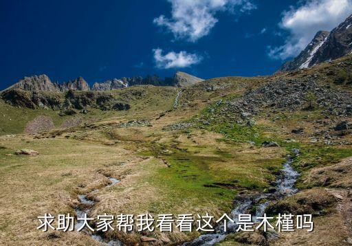 求助大家帮我看看这个是木槿吗