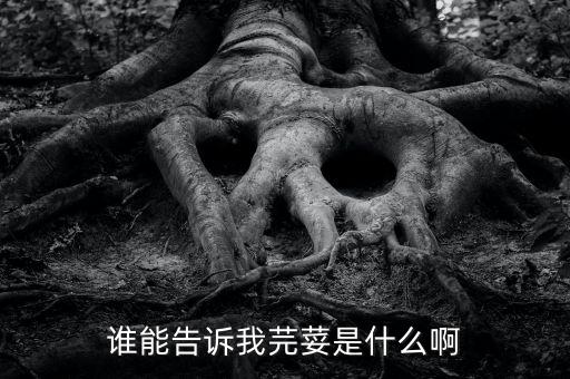 谁能告诉我芫荽是什么啊
