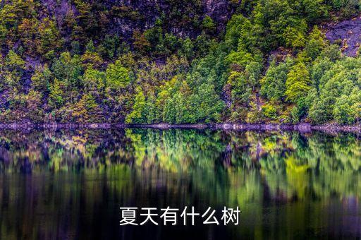 夏天有什么树