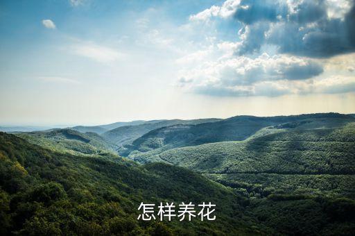 养花知识，怎样养花