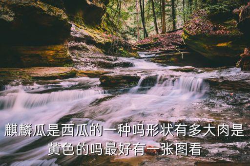 麒麟瓜是西瓜的一种吗形状有多大肉是黄色的吗最好有一张图看