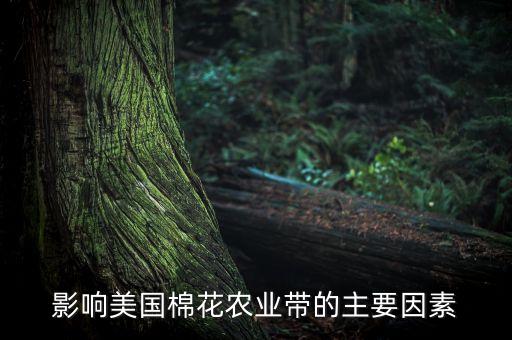 美国农业棉花报告怎么写，美国棉花带发展棉花生产的有利自然条件