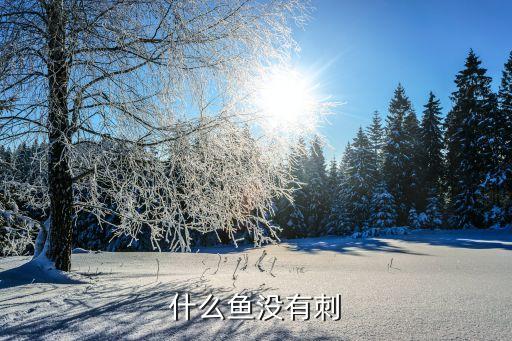 没有刺的鱼，什么鱼最没有刺