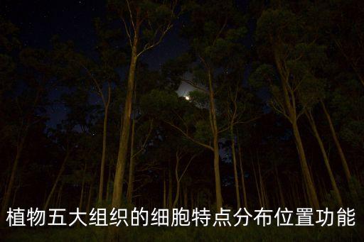 植物的五大组织，植物是由哪5部分组成的
