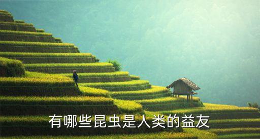 益虫有哪些，世界上有哪些益虫