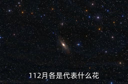 112月各是代表什么花