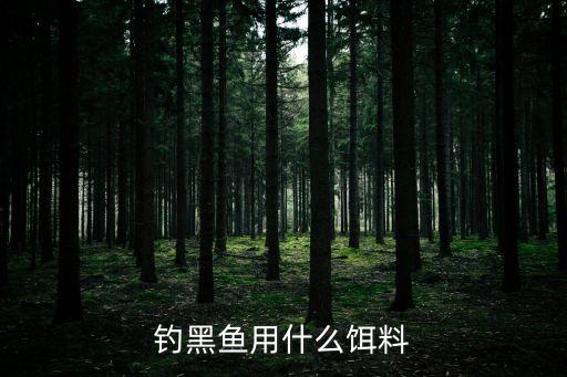 黑鱼吃什么饵料，钓黑鱼用什么饵料求大师指点