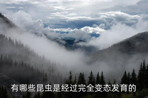 完全变态昆虫，属于完全变态发育的昆虫有哪些